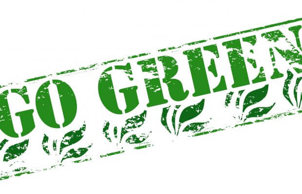 Explore the Rewards of a More Sustainable Lifestyle